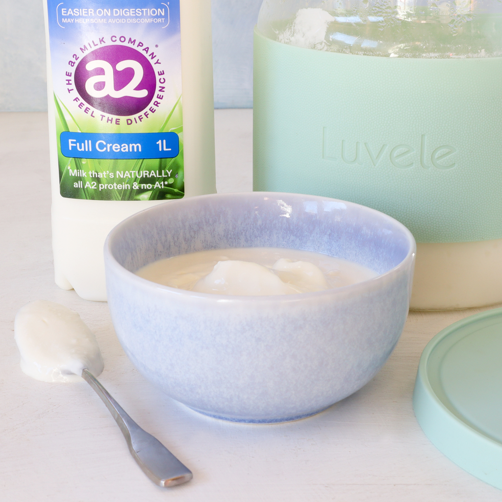 L. Reuteri homemade yogurt using A2 Milk
