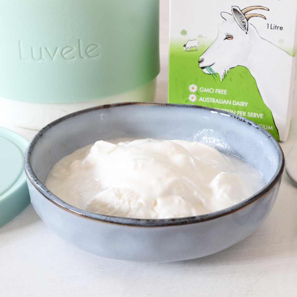 Goat Milk L. Reuteri Yogurt