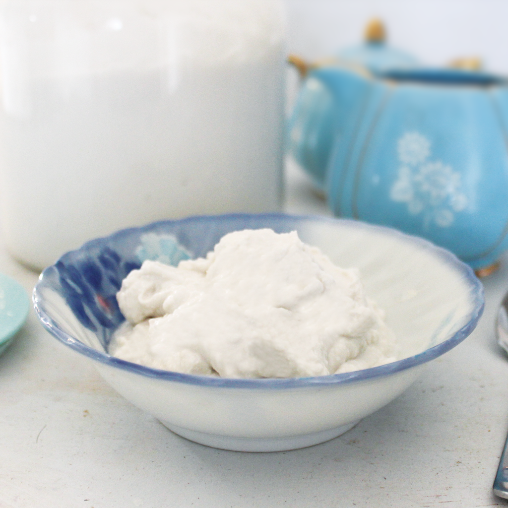 The easiest homemade coconut cream yogurt recipe
