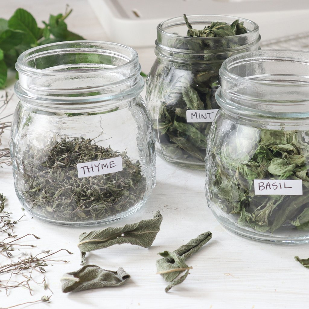 Drying Herbs With a Food Dehydrator