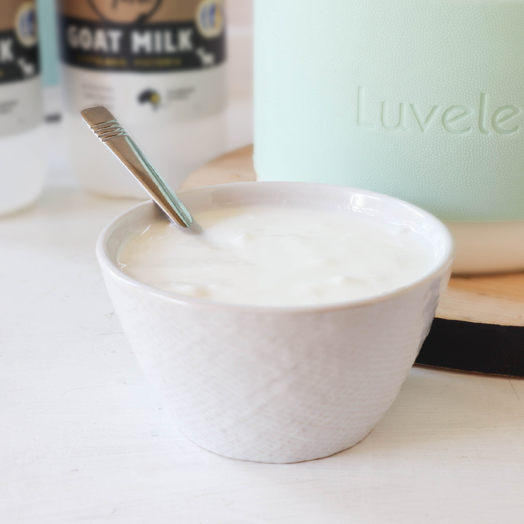 24 hour goat milk yogurt recipe for SCD & GAPS