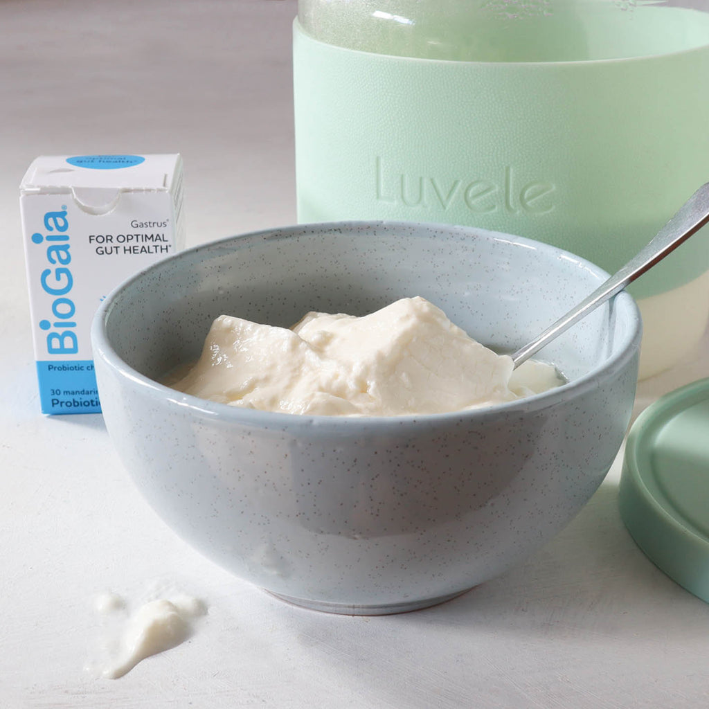 How to make L.Reuteri yogurt Luvele US