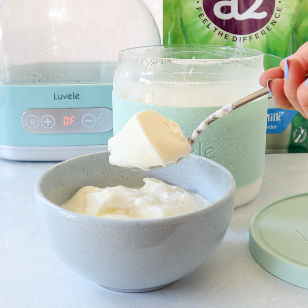 Make probiotic yogurt anytime with dry milk powder Luvele US