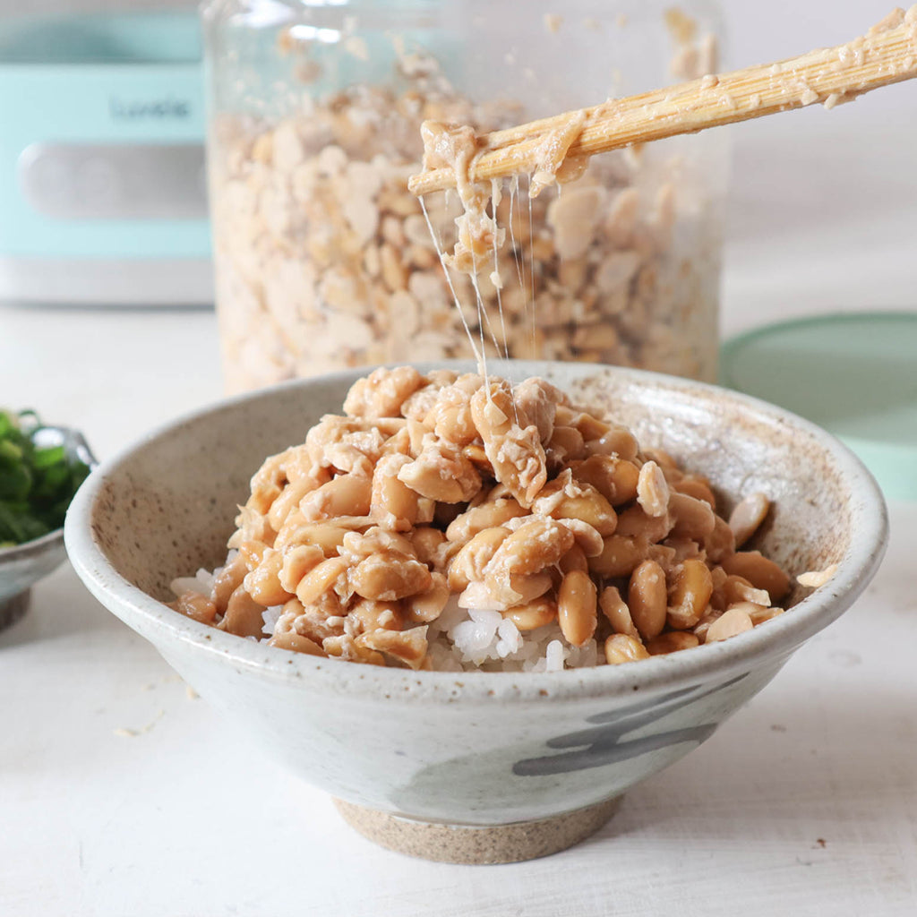 How to make Natto (fermented soybeans) in a yogurt maker - Luvele US