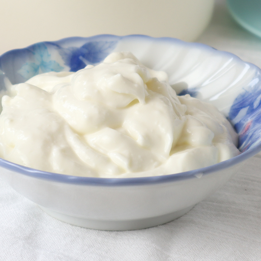 How to make Icelandic Skyr in a yogurt maker - Luvele US