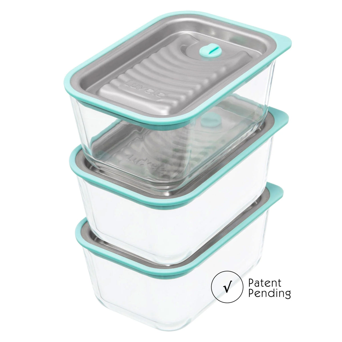 LownRain Food storage vacuum sealed container with electric vacuum pump  BPA-Free, various sizes to keep food fresher (4 piece set with electric  vacuum