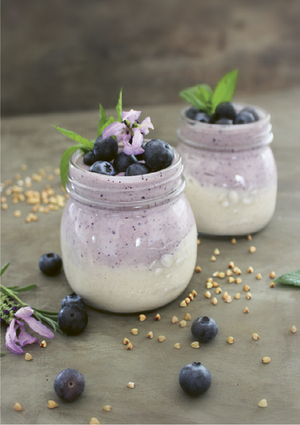 Luvele, The Luvele DIY Coconut Yogurt Recipe Handbook Viewable on Andrioid & Apple Device Kindle App KF8/MOBI Format,