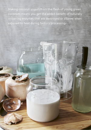 Luvele, The Luvele DIY Coconut Yogurt Recipe Handbook Viewable on Windows & Apple Desktop Adobe PDF Reader Format,